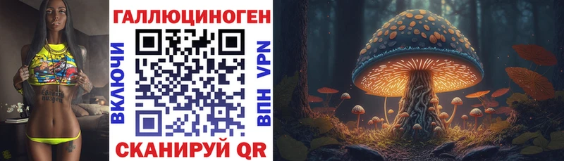 Псилоцибиновые грибы мицелий  Кизилюрт 